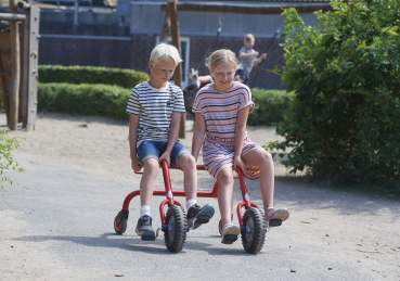 VIKING CHALLENGE Twin Bike